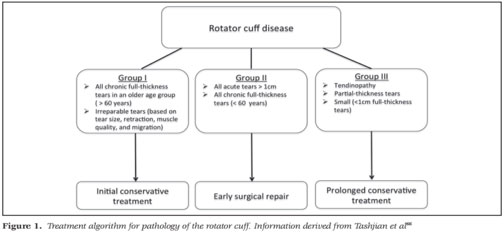 signs and symptoms of torn rotator cuff